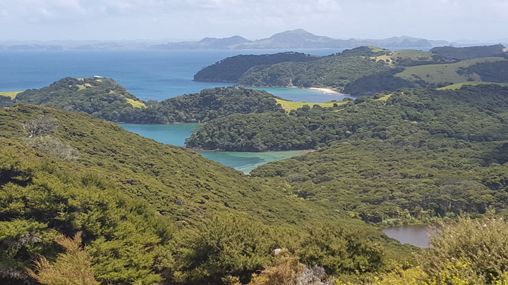View from the top of Urupukapuka Island